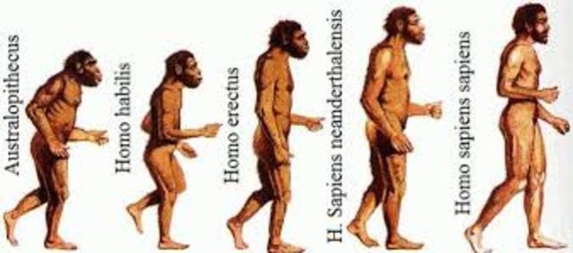Surgimiento de los hominidos  5MA