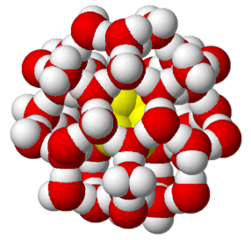 Cefalizacion y Centralizacion