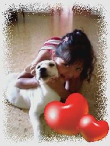 Regalaron a mi mascota