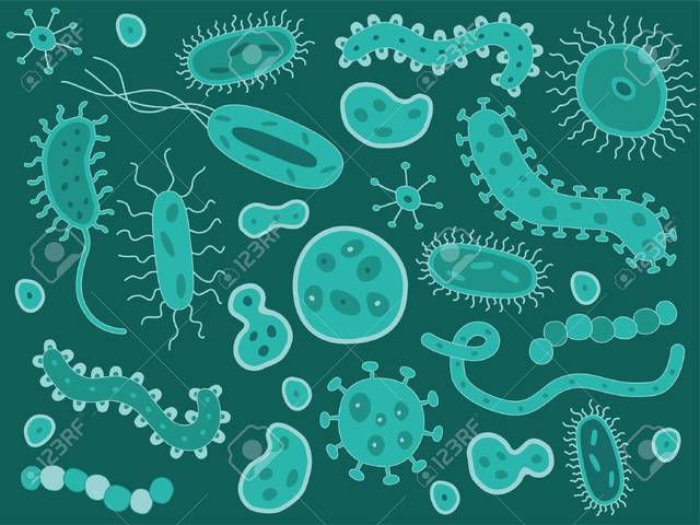 Se crea la teoría de el germen como enfermedad.