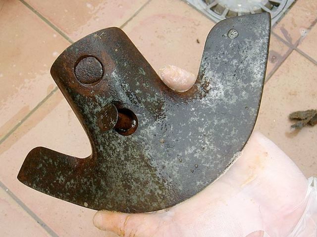 Observaciones sobre los metales.