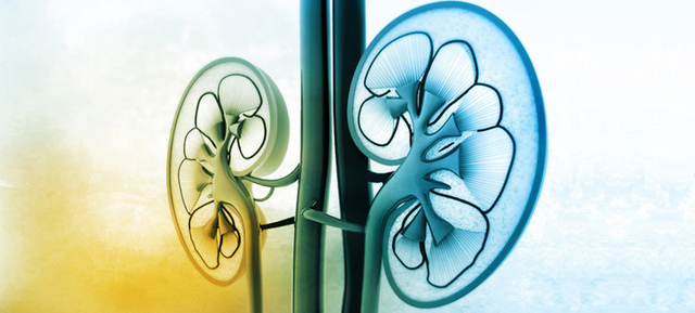 Se desarrolla la diálisis para la insuficiencia renal.