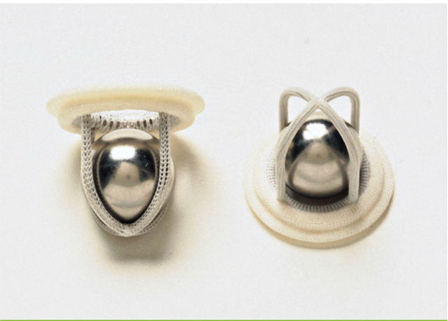 Creación de Válvulas cardíacas artificiales.