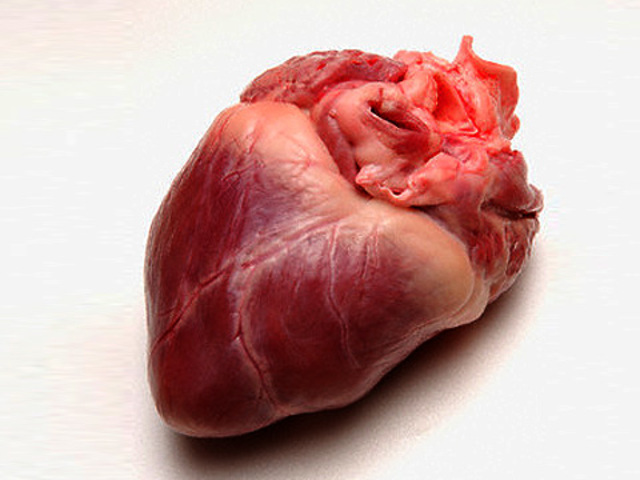 Primer trasplante de Corazón en humanos.