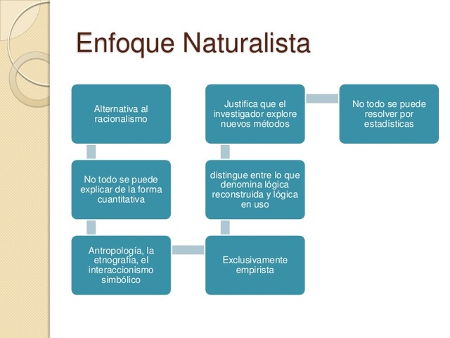 Enfoque Naturalista.