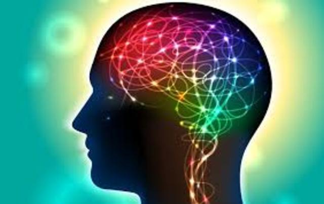 Comportamiento Humano