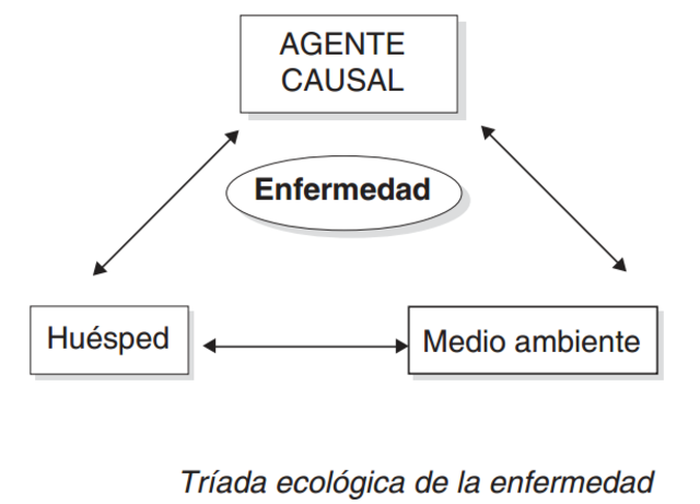 Triada ecológica.