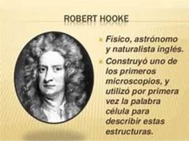 1665 ROBERT HOOKE