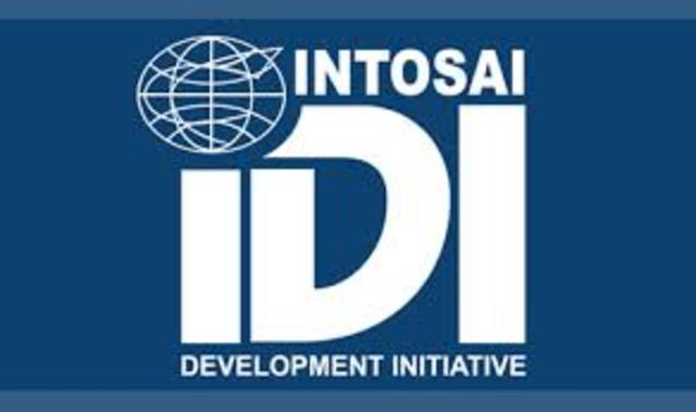 Surge la INTOSAI