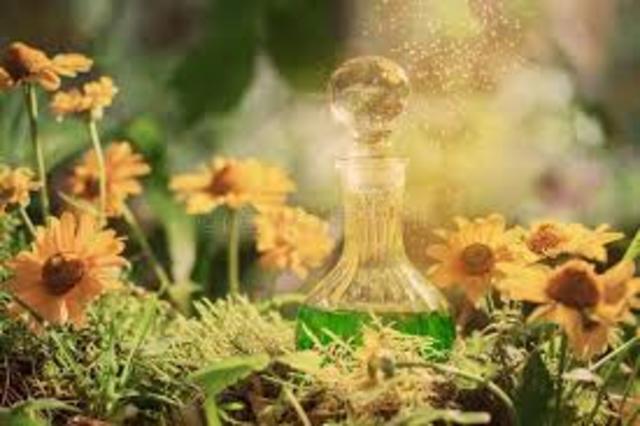 La Alquimia Medicinal