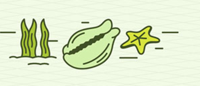 Comercio con corales