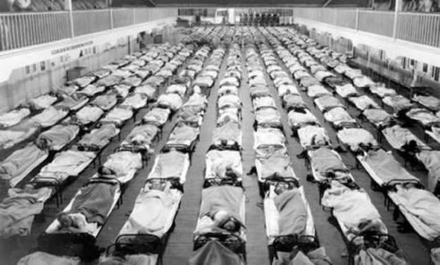 Gripe española (pandemia)*
