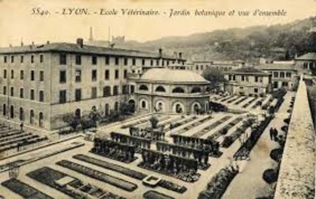 Primeras escuelas de veterinaria en Latinoamerica