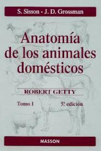 Anatomia de los animales domesticos