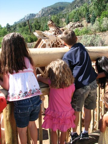 Went to Cheyenne Mtn. zoo