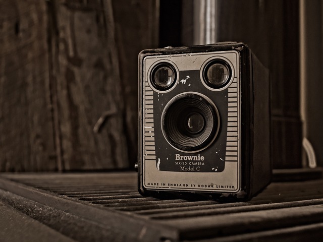 The Kodak Brownie Went on Sale