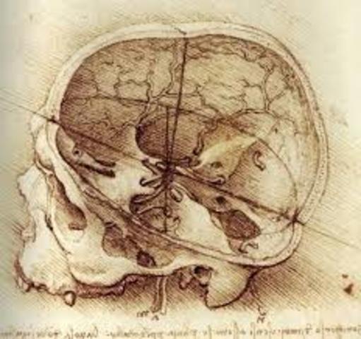 El surgimiento del primer cerebro