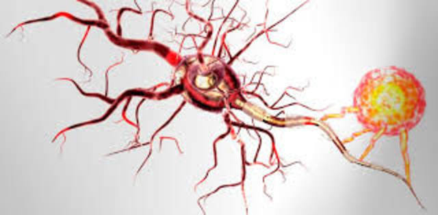 CLAVES PARA LA INTELIGENCIA