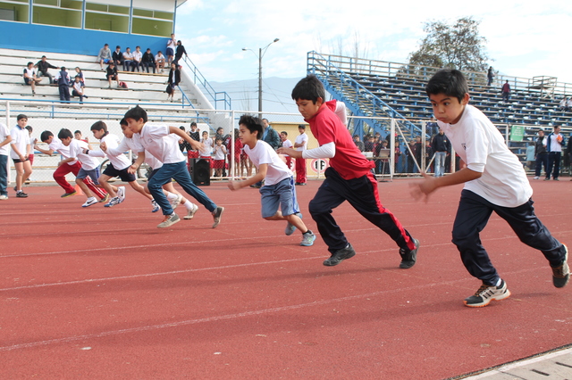 ADELANTOS RÁPIDOS (7 - 10 AÑOS)