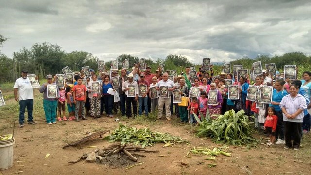 MOVIMIENTO CAMPESINO