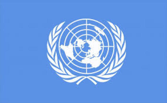 Organización de Naciones Unidas (ONU)