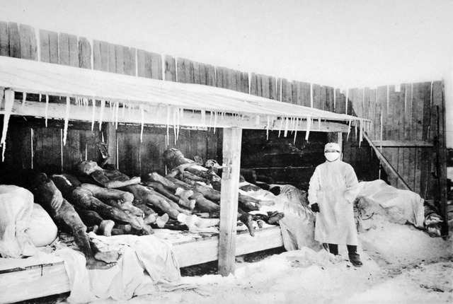 Top 7. La Tercera Pandemia (12 millones aprox.)