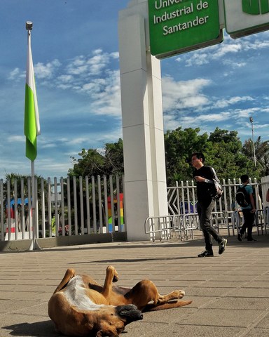 I was admitted to the UIS