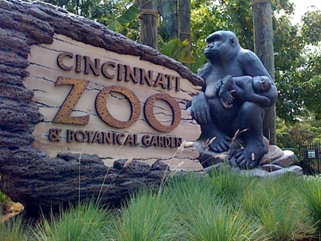 The Zoo