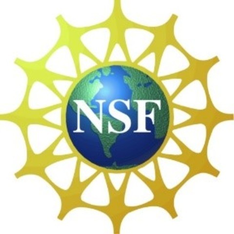 La National Science Foundation (NSF)