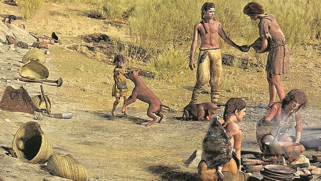 domesticacion del perro