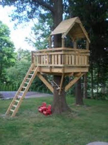 The tree house