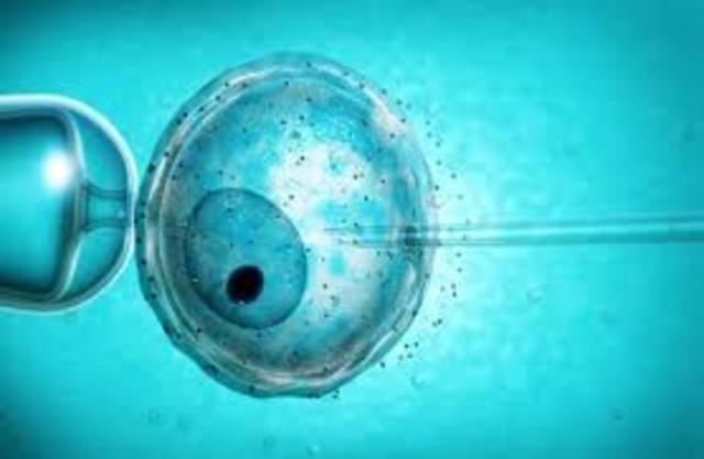 Nacimiento de bebe in Vitro