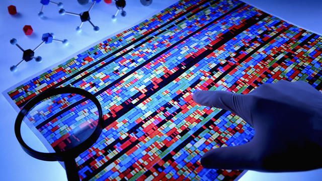 Decodificación del genoma humano.