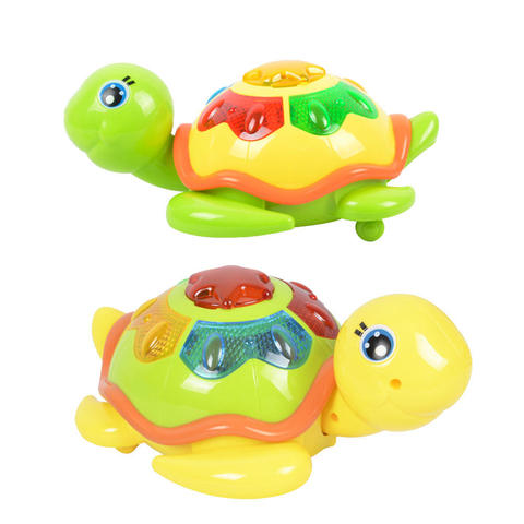 Tortuga japonesa (Anaís)