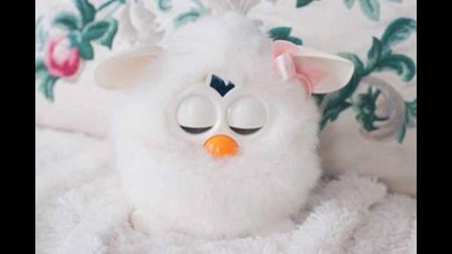 M: Furby