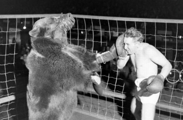 Matías vs. Oso Pietri