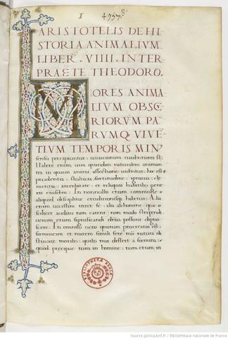 Aristóteles (384-322 a. C.)