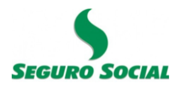 Instituto de Seguros Sociales