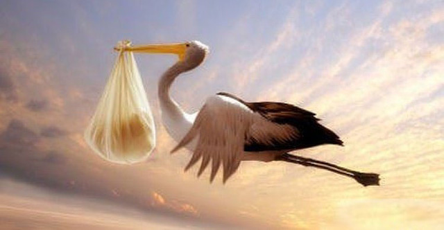 Dia De Mi Nacimiento