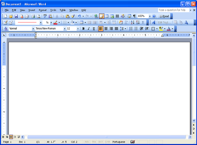 Microsoft Word 2003