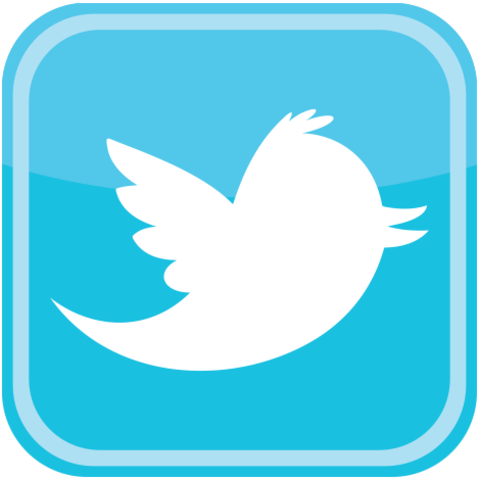 Twitter como nuevo poder en la red.