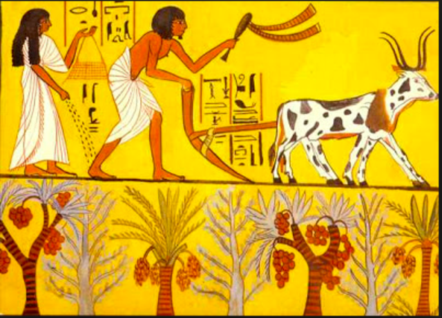 LA CIVILIZACIÓN DE EGIPTO (5000 a. C. – 525 a. C.)