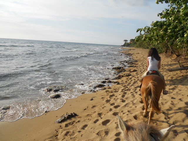 Horse Back Riding Along The Beach