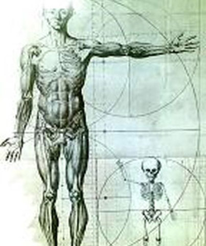 EL NACIMIENTO DE LA FISIOTERAPIA ACTUAL