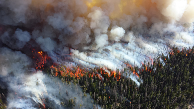 The wild fires in Colorado