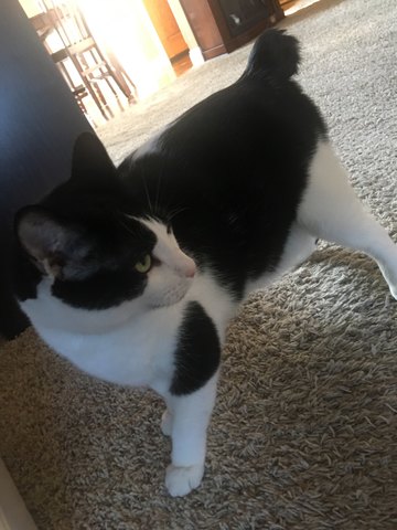 El Encontriendo de Thomas