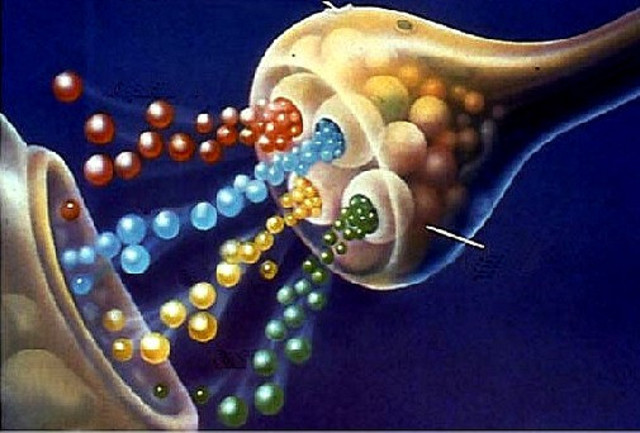 Henry Halle Dale y Otto Loewi