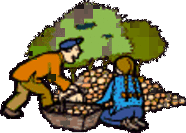 Nacimiento del Derecho Mercantil