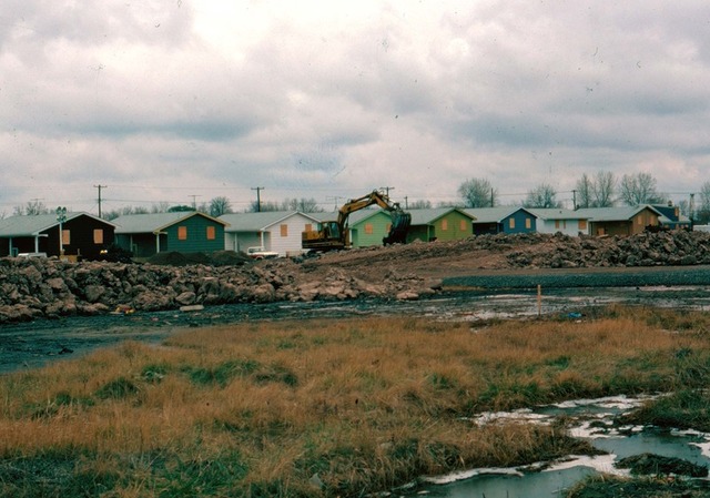 Desastre Barrio Love Canal