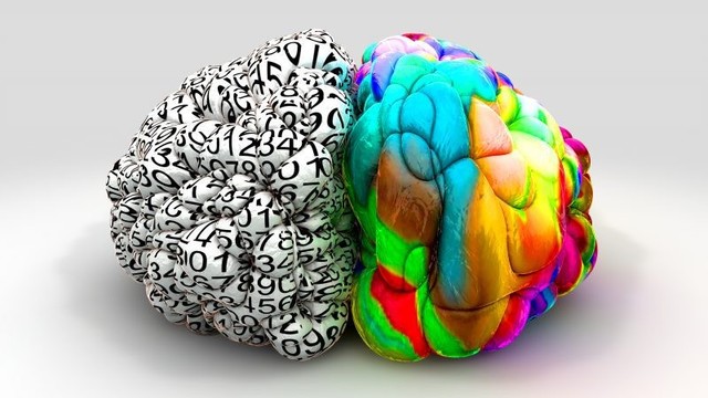 Roger Wolcott Sperry